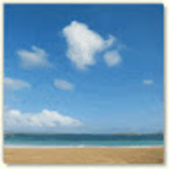 Meet your Posher, Nika - Picture 1 of 1